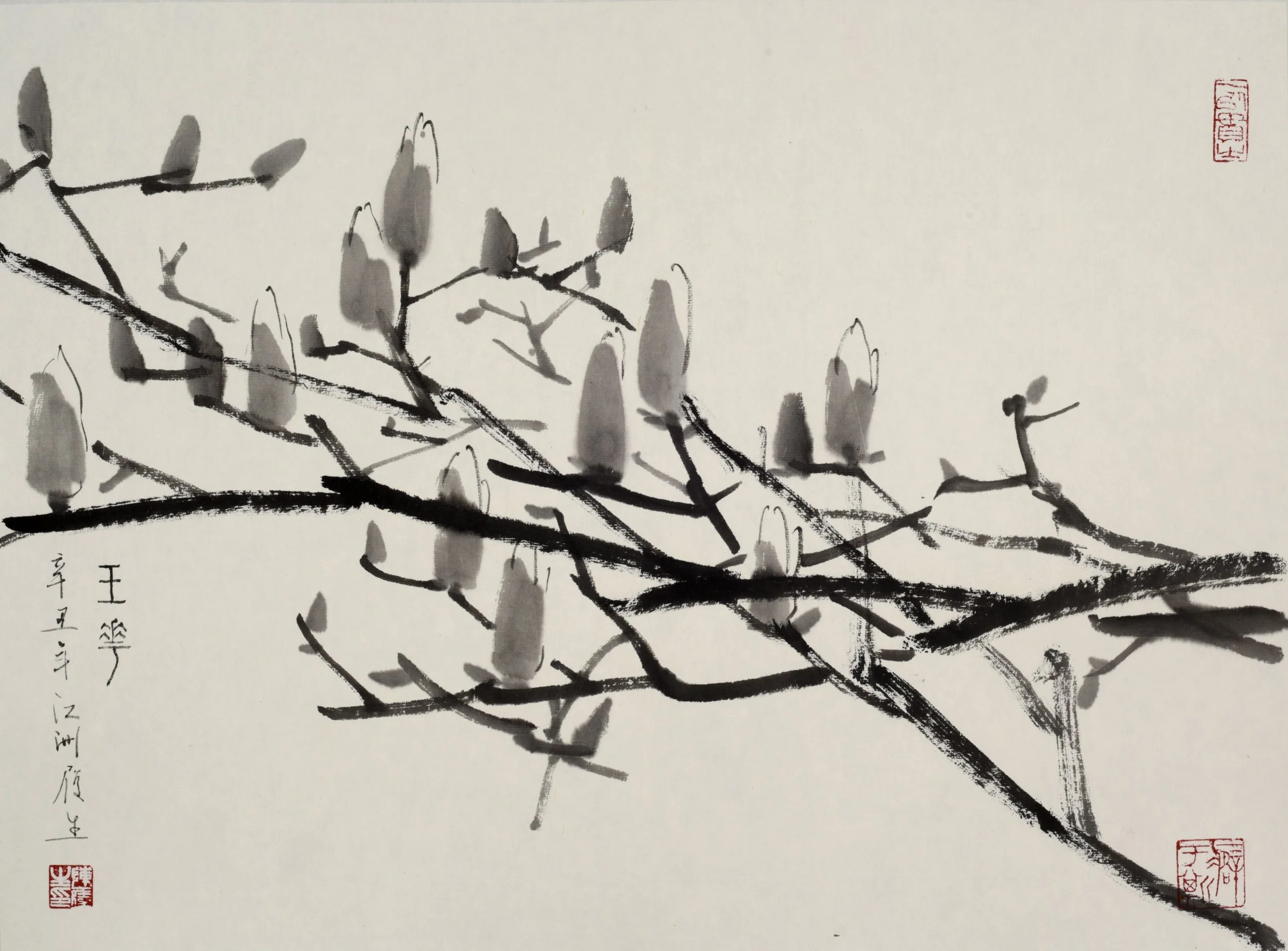 辛醜寫玉蘭之七