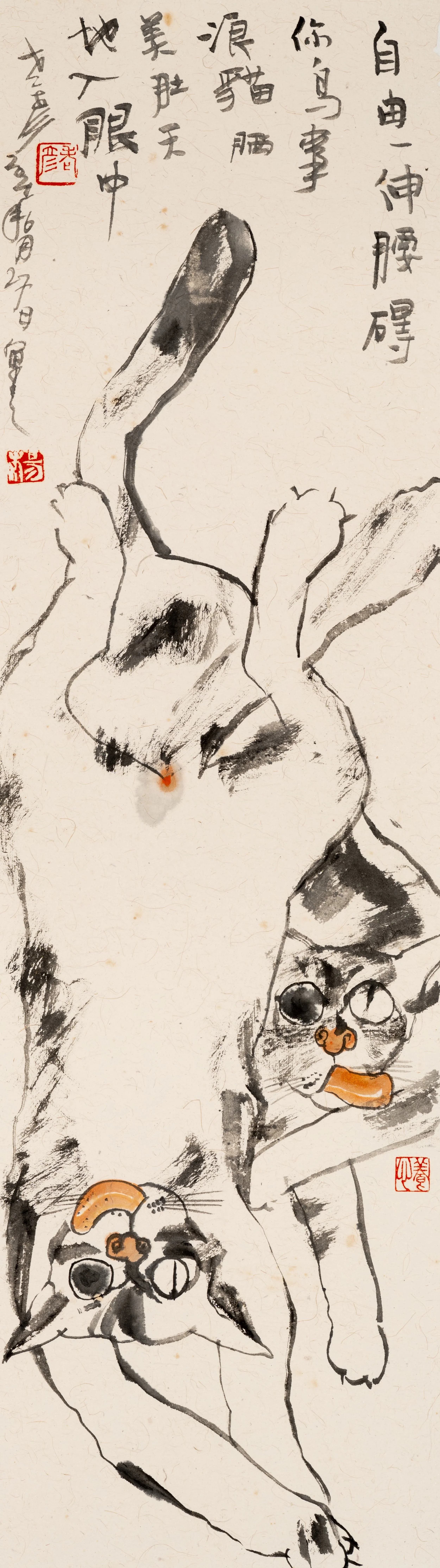 A Cat’s Carefree Stretch