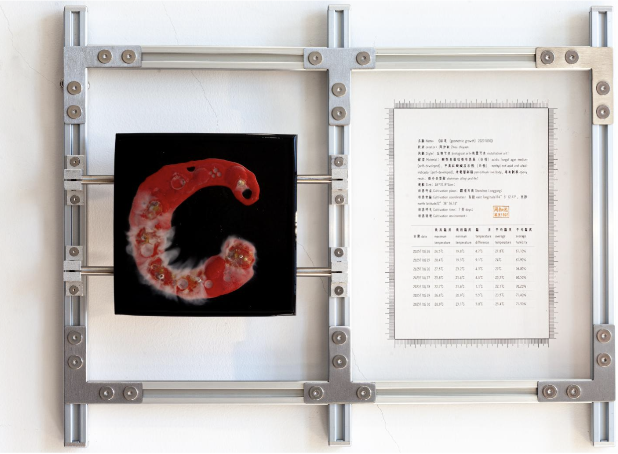 红息20251030｜
Penicillium, Agar Medium, pH Test Strips, Epoxy Resin, Iron Plate｜
46 × 33.8 × 4 cm｜
2025