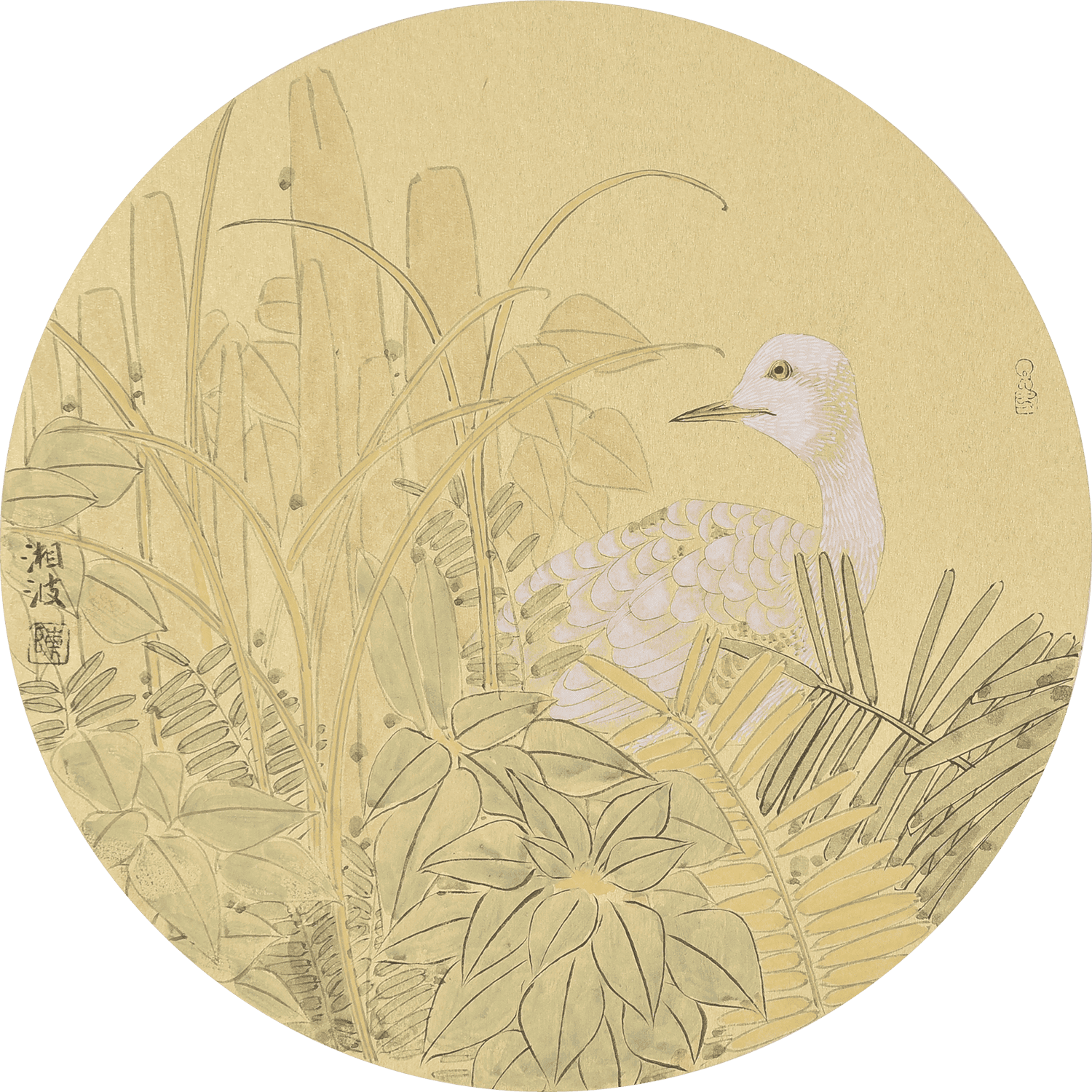 Awakening of Insects