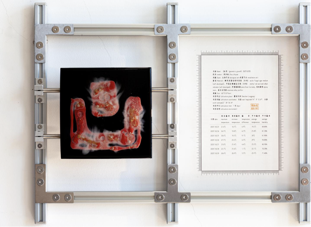 红息20251029｜
Penicillium, Agar Medium, pH Test Strips, Epoxy Resin, Iron Plate｜
46 × 33.8 × 4 cm｜
2025