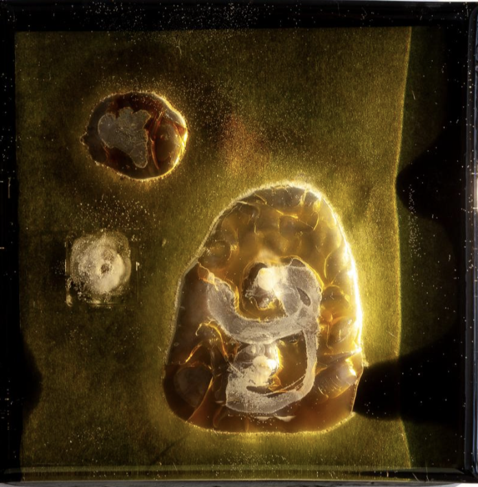 pH Value 20250207(a)