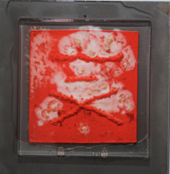 pH Value 20250626｜
Penicillium, Agar Medium, pH Test Strips, Epoxy Resin, Iron Plate｜
40 × 40 × 5 cm｜
2025