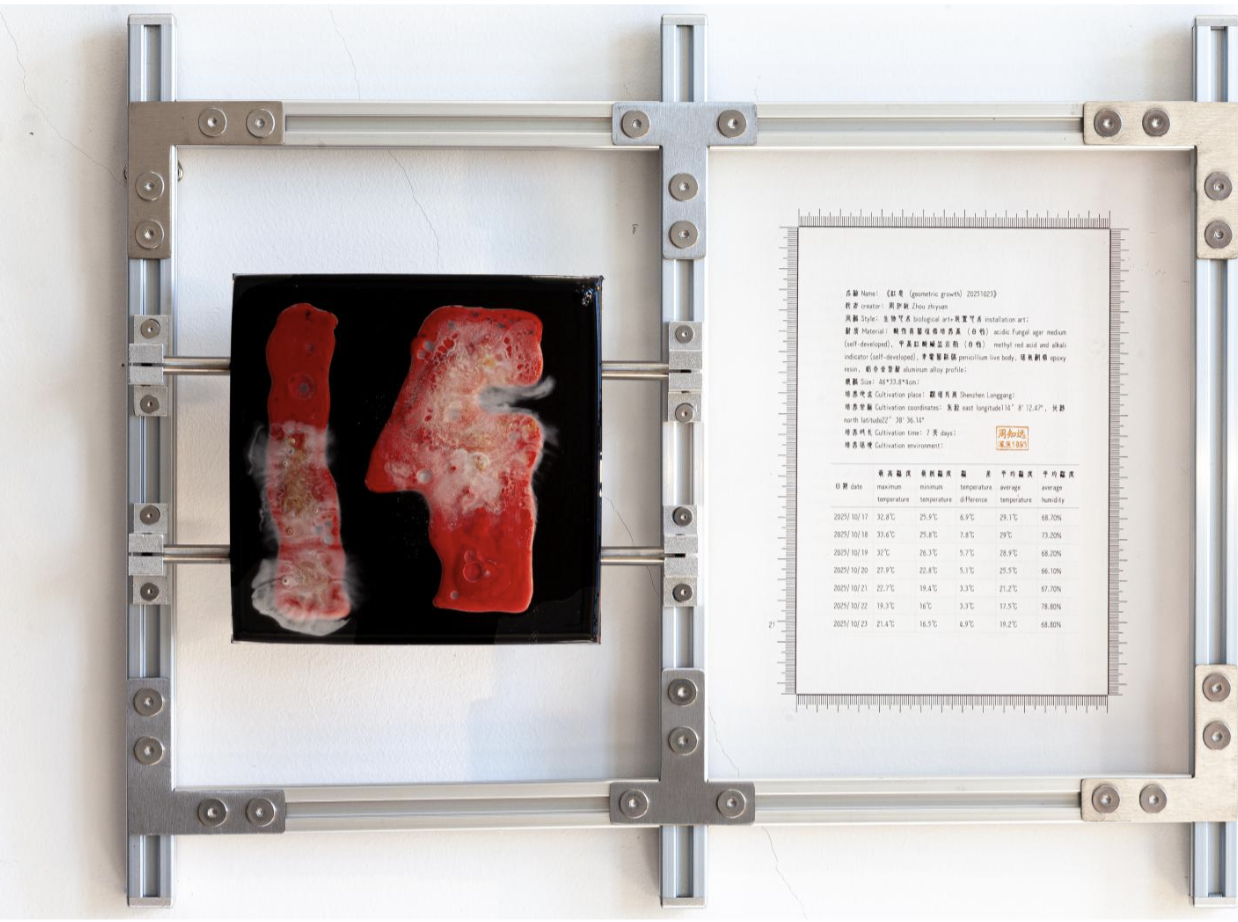 红息20251023｜
Penicillium, Agar Medium, pH Test Strips, Epoxy Resin, Iron Plate｜
46 × 33.8 × 4 cm｜
2025