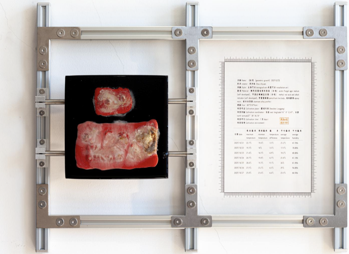 红息20251027｜
Penicillium, Agar Medium, pH Test Strips, Epoxy Resin, Iron Plate｜
46 × 33.8 × 4 cm｜
2025