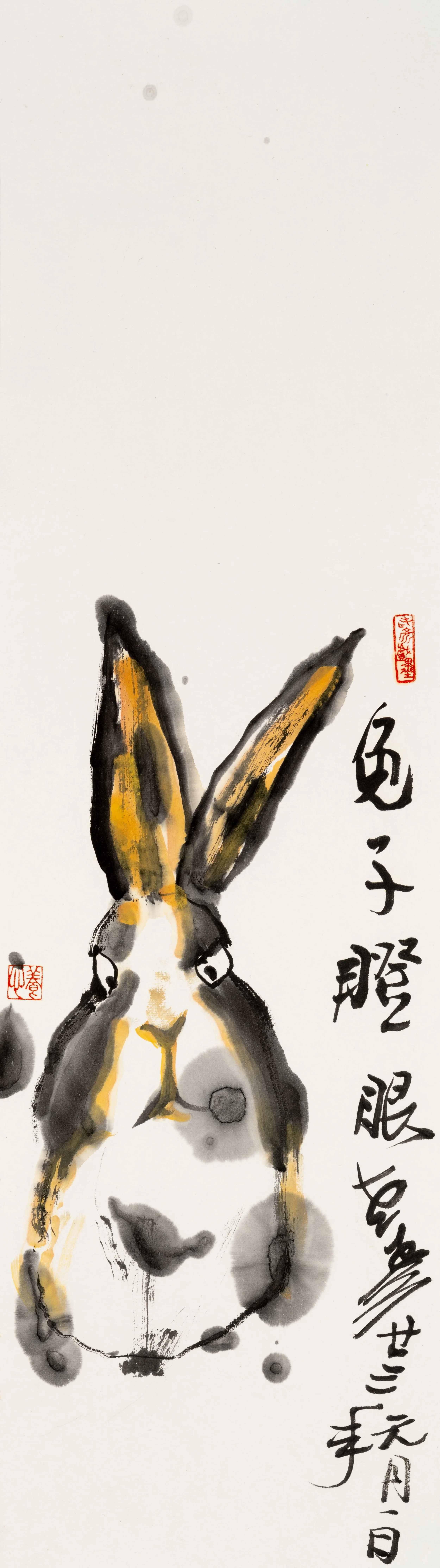 The Rabbit Stares at You