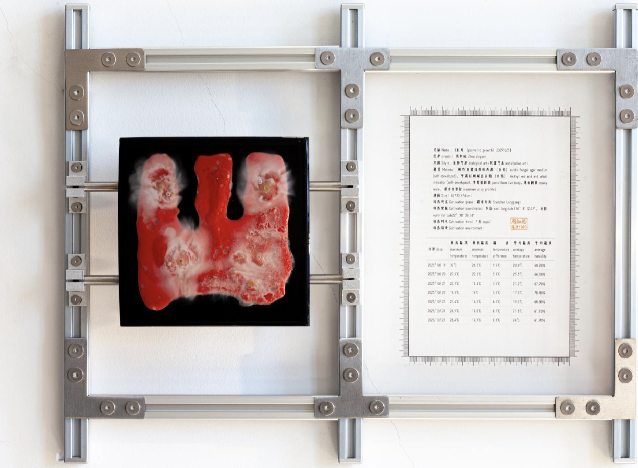 红息20251025｜
Penicillium, Agar Medium, pH Test Strips, Epoxy Resin, Iron Plate｜
46 × 33.8 × 4 cm｜
2025