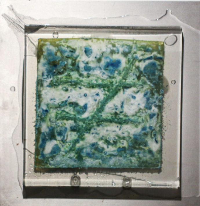 pH Value 20250627｜
Penicillium, Agar Medium, pH Test Strips, Epoxy Resin, Iron Plate｜
40 × 40 × 5 cm｜
2025