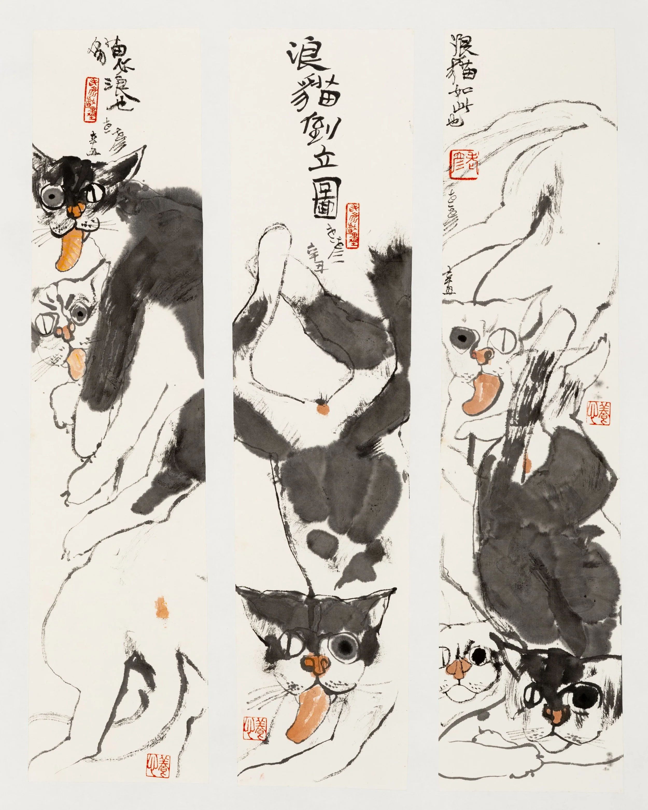 Cats Are Naturally Wild