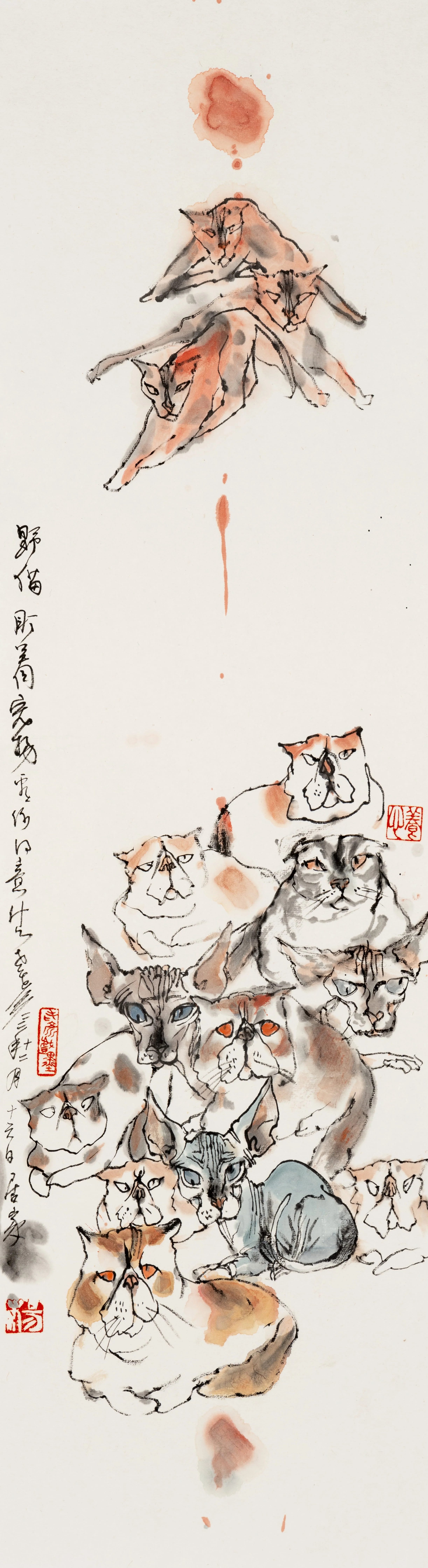 The Feral Cat Watching the Pet