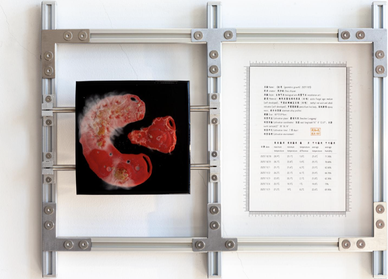 红息20251105｜
Penicillium, Agar Medium, pH Test Strips, Epoxy Resin, Iron Plate｜
46 × 33.8 × 4 cm｜
2025