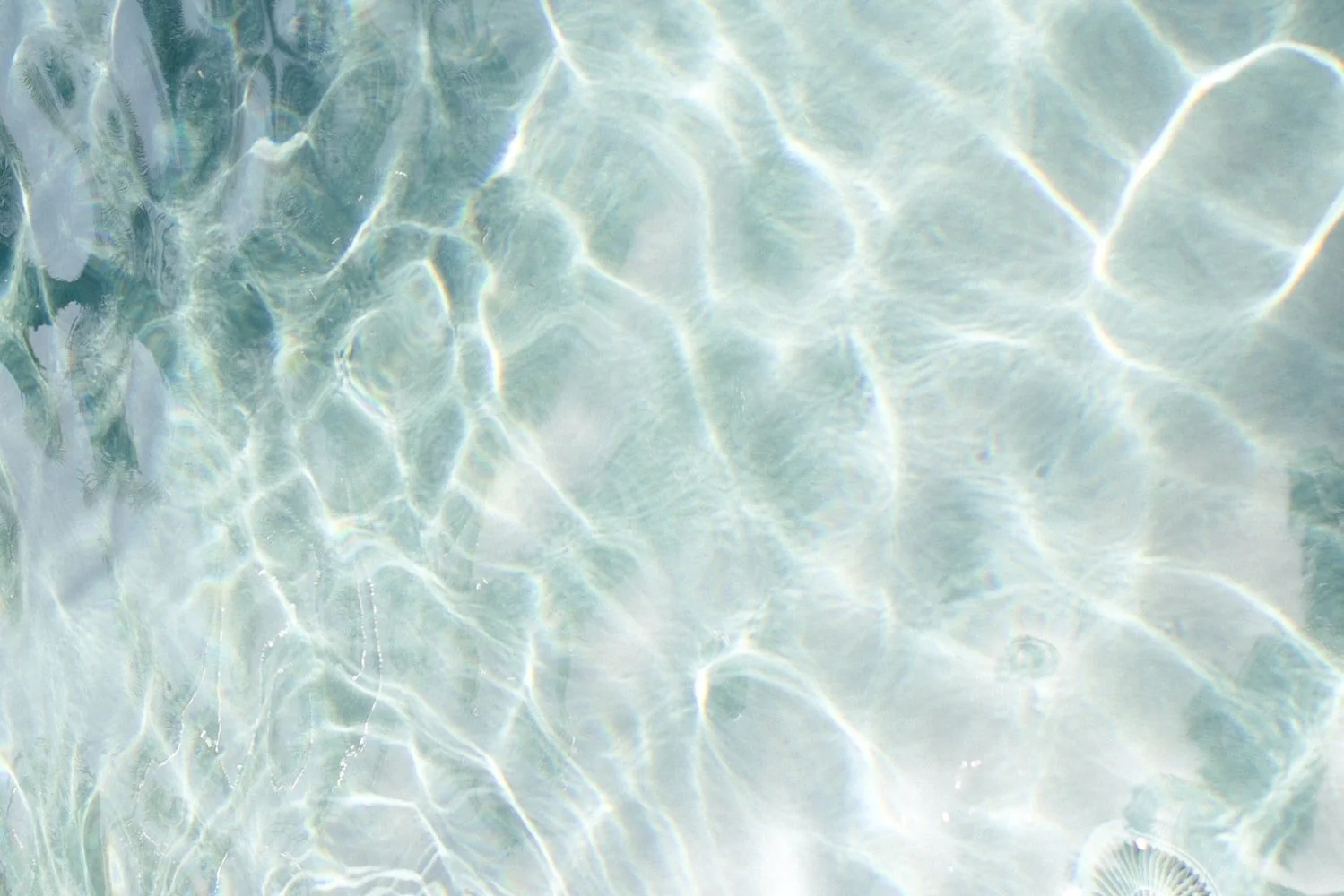 Clear Seeing - One Day Insight Meditation Retreat