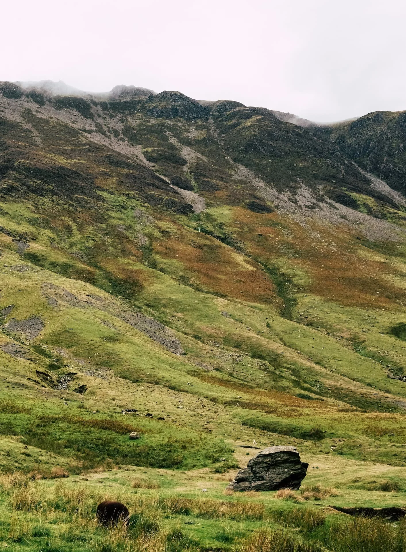 Common Ground Contracting