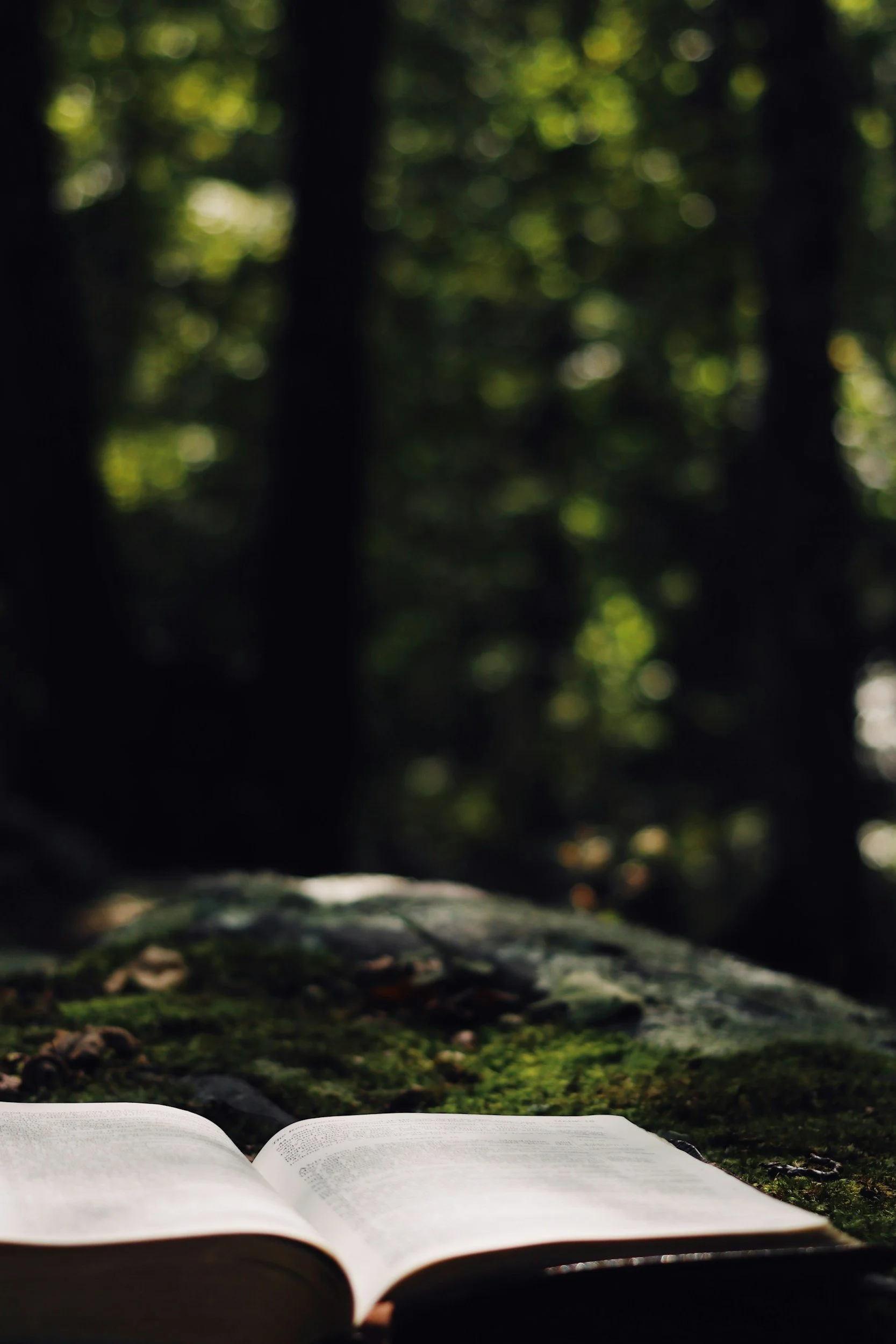 Your CV was never going to tell your story 