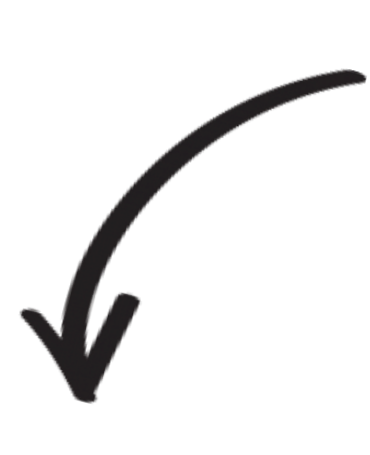 Black checkmark with a curved line above it.