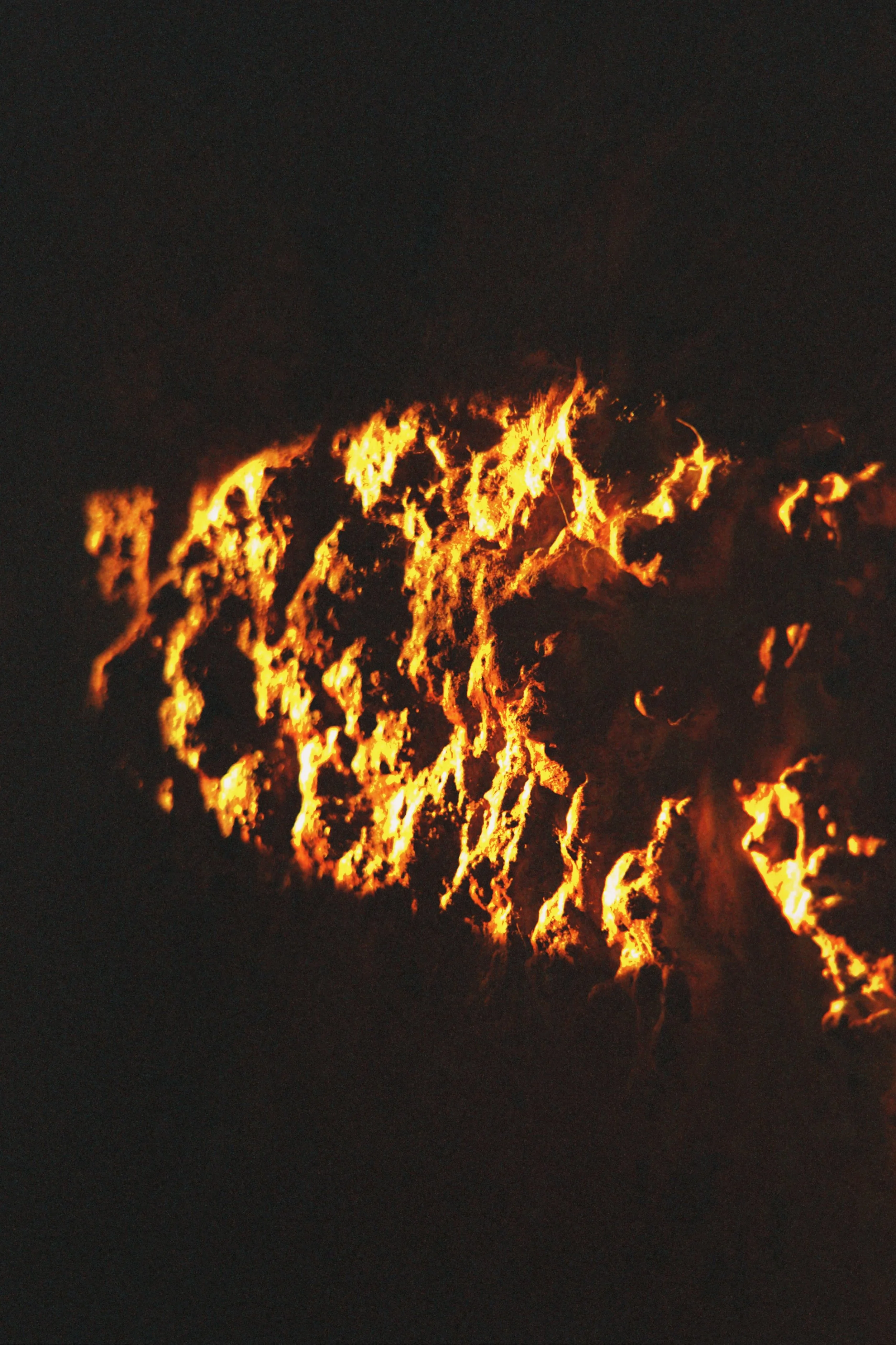 fqs 2025-11-29 091458.342.JPG