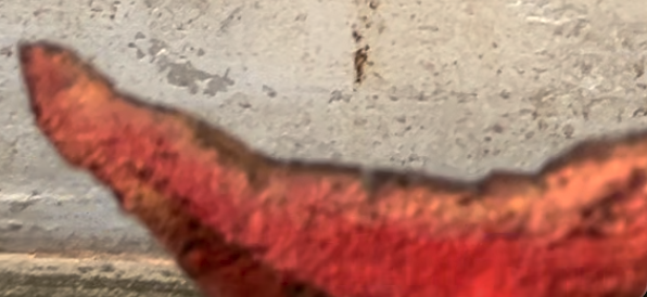 Screenshot 2026-02-23 at 23.35.57.png