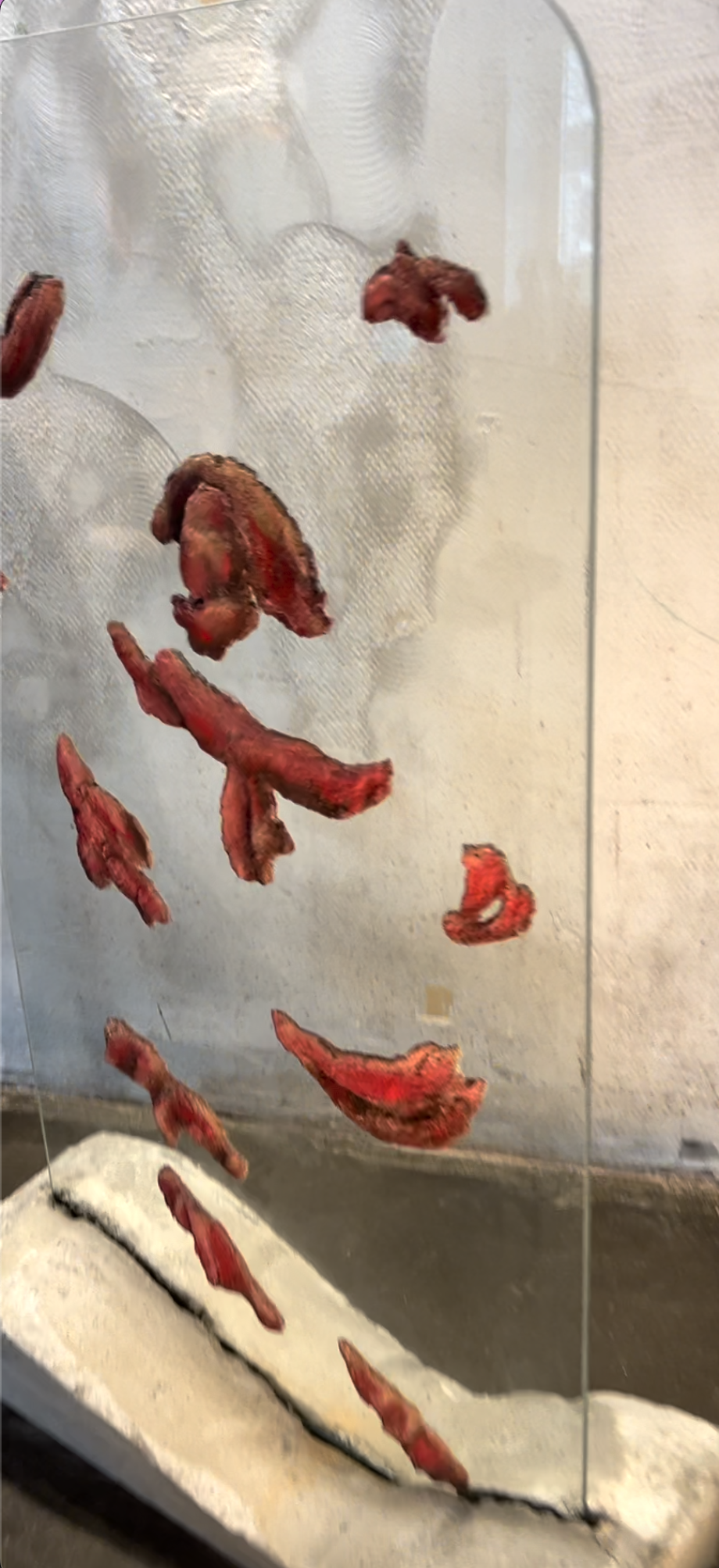 Screenshot 2026-02-23 at 23.36.31.png