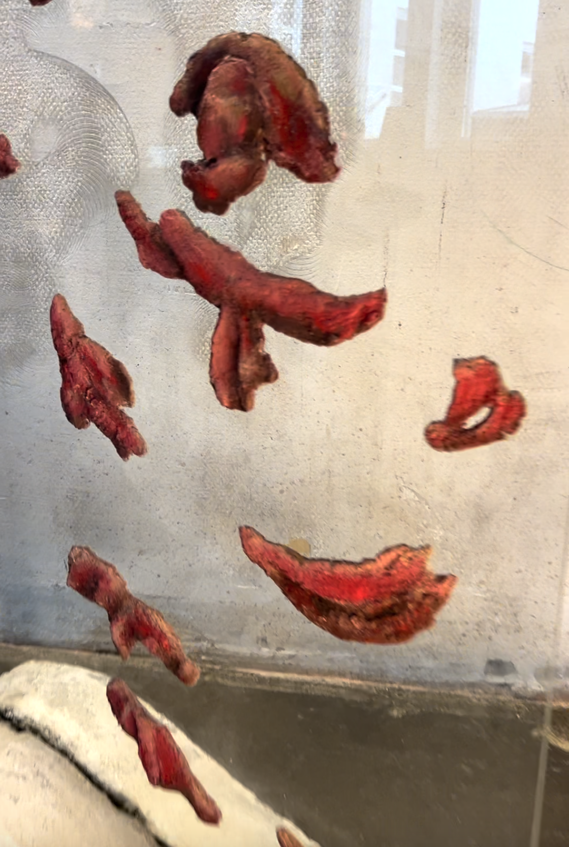 Screenshot 2026-02-23 at 23.36.11.png