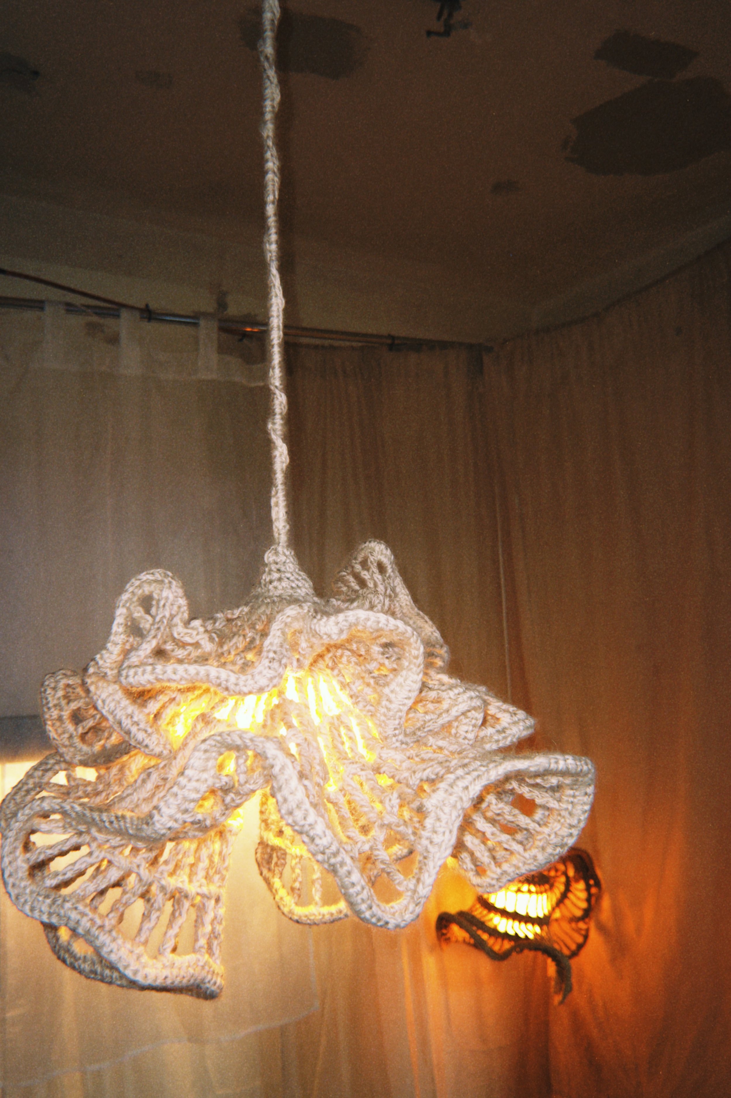 Kveldsbesøk fra svanene