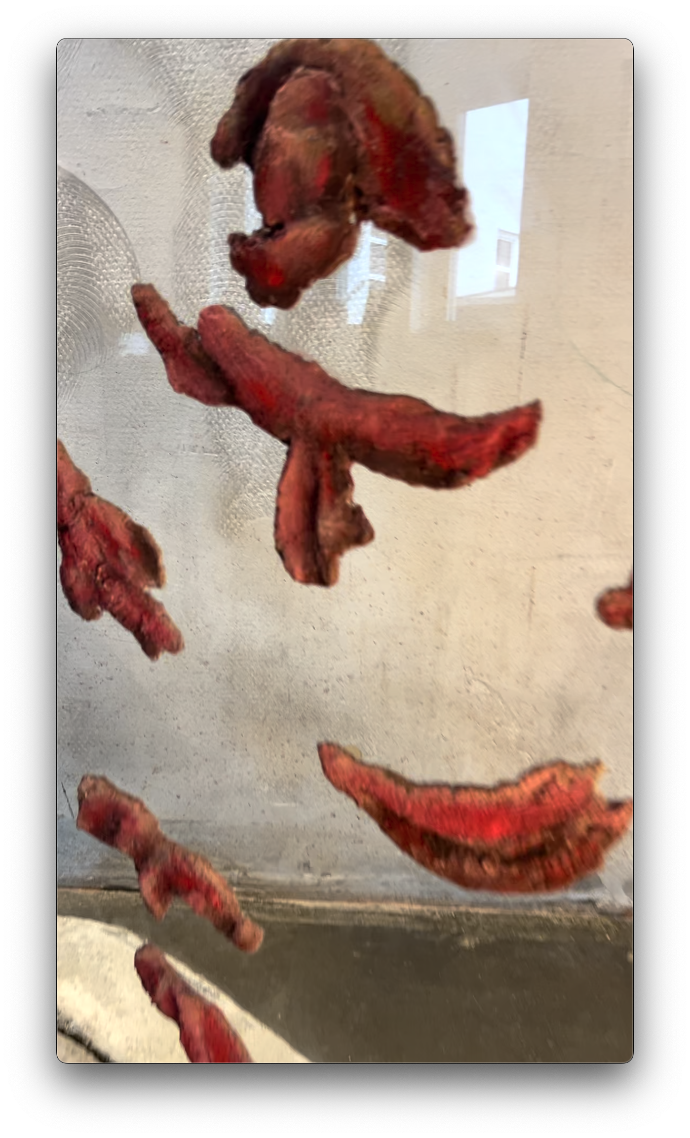 Screenshot 2026-02-23 at 23.34.50.png