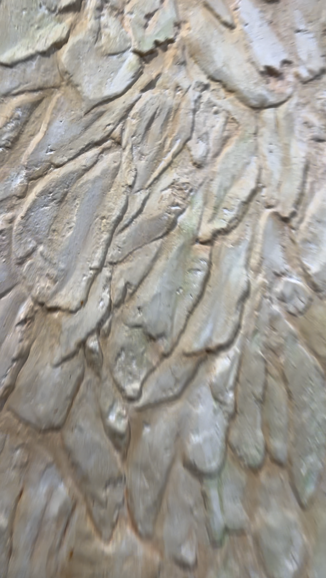 Screenshot 2026-02-23 at 22.52.18.png