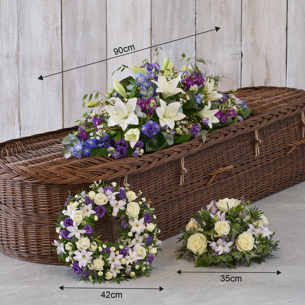 The Blue Collection1.png
