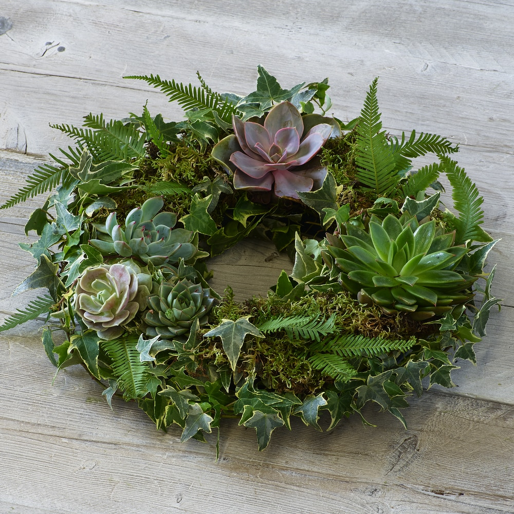 Living Succulent Wreath.png