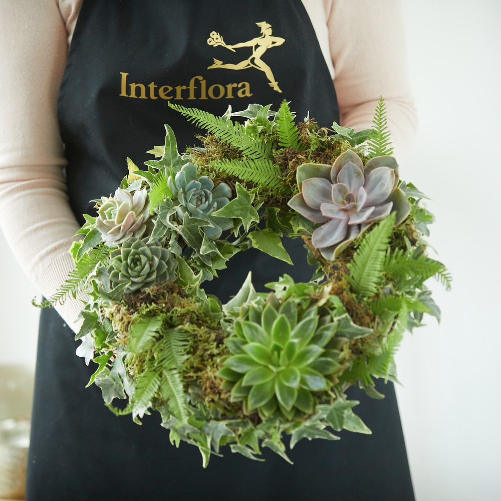 Living Succulent Wreath1.png