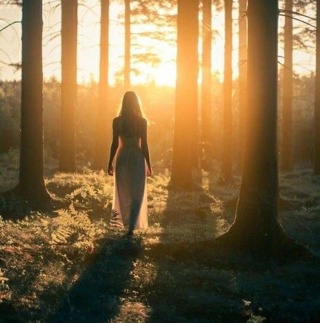Eine Frau läuft durch einen Sonnenlicht-durchfluteten Wald bei Sonnenuntergang, Schatten auf dem Boden.