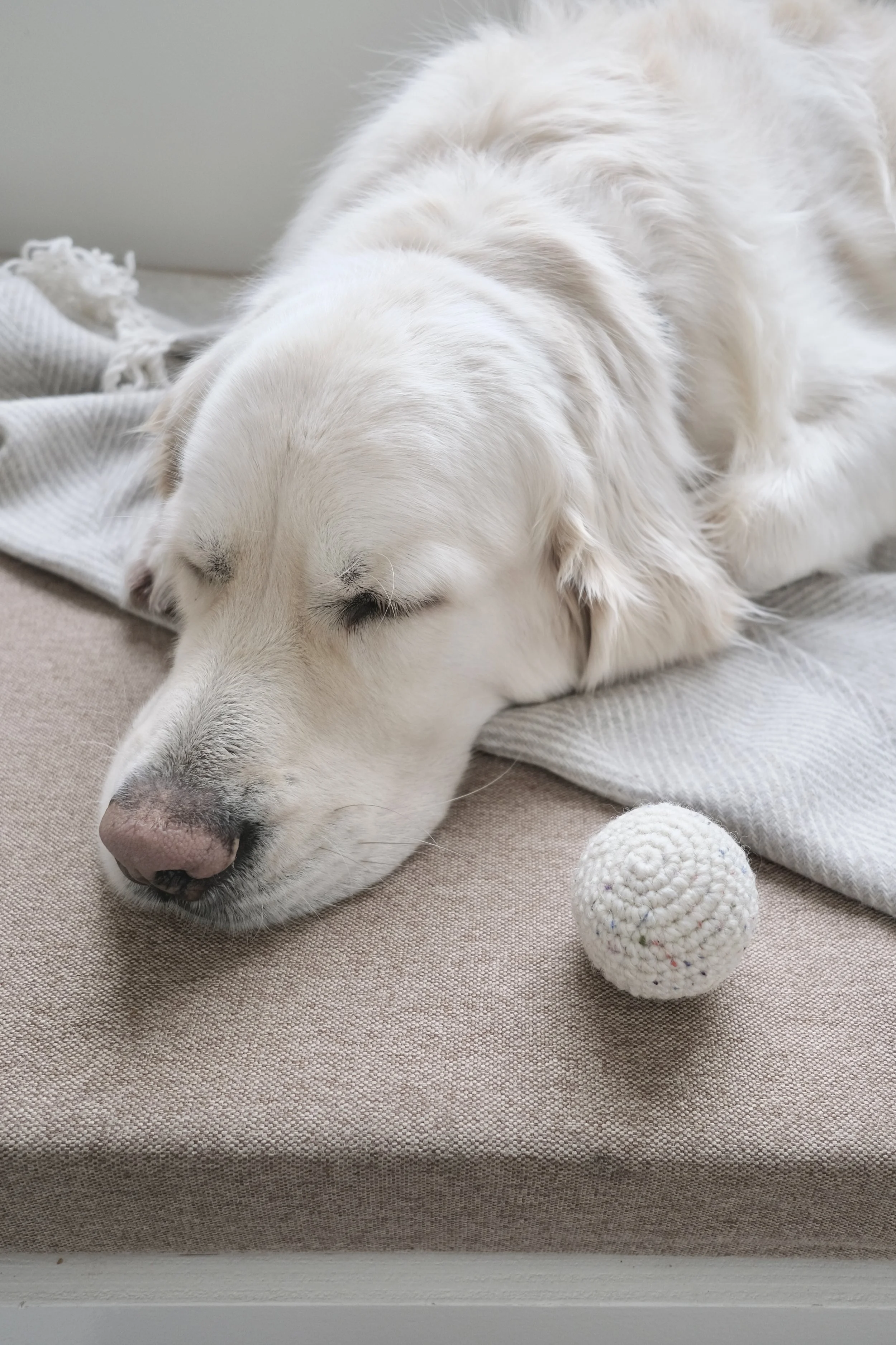 Ball-2.jpg