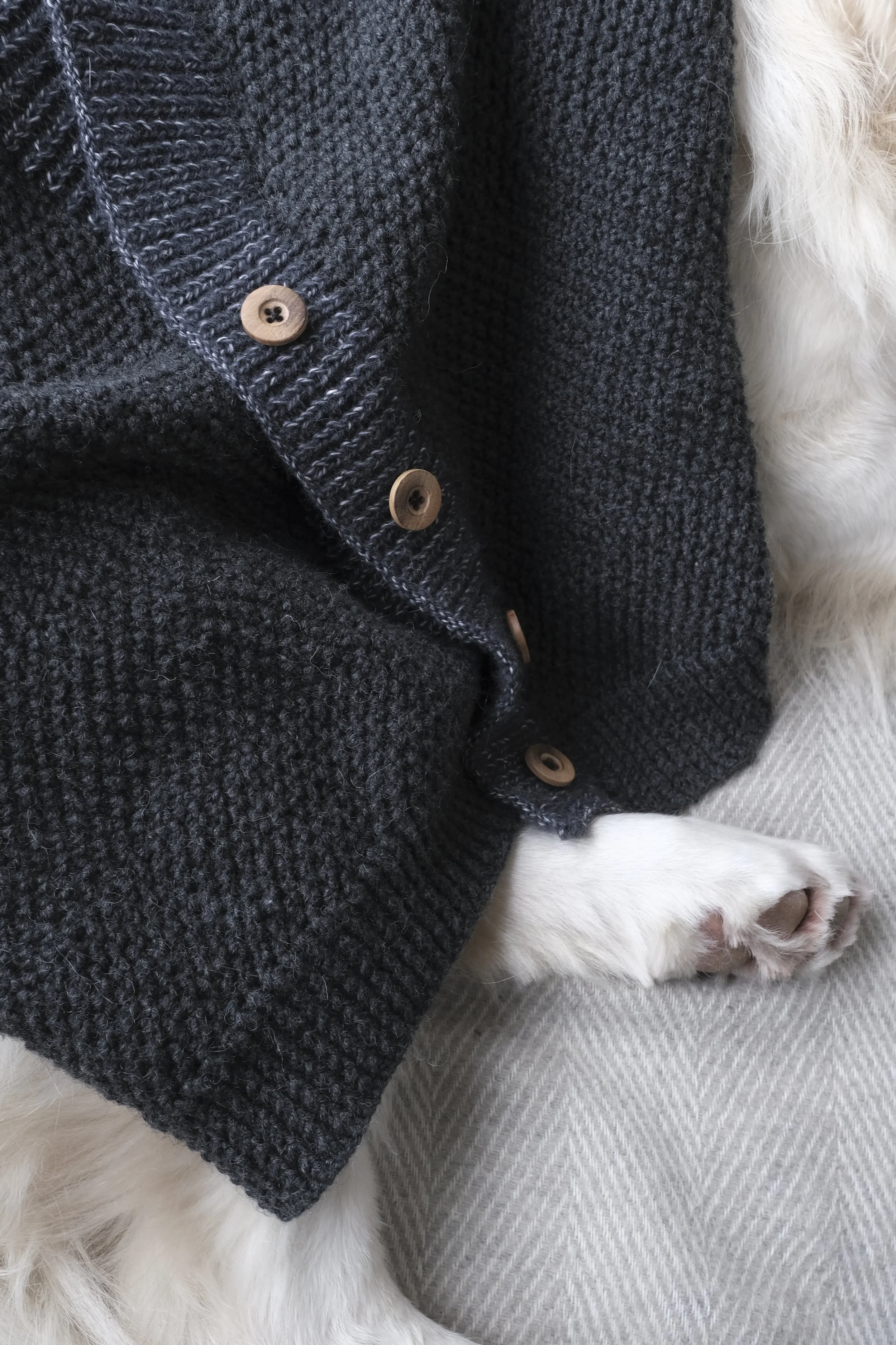 Cardigan4.JPG