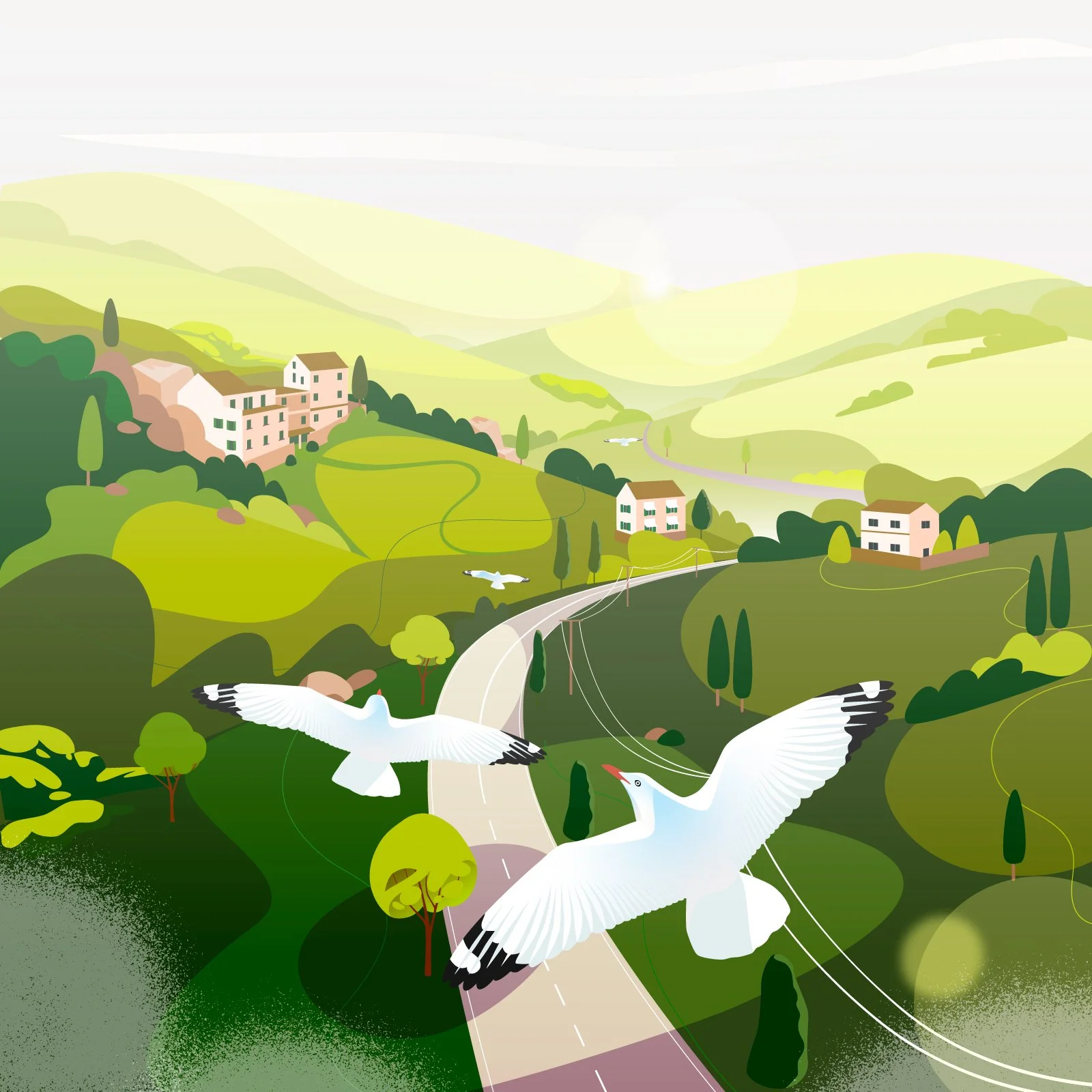 Over-fields.jpg