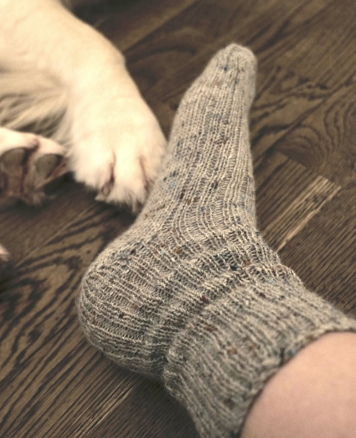 Socks.png