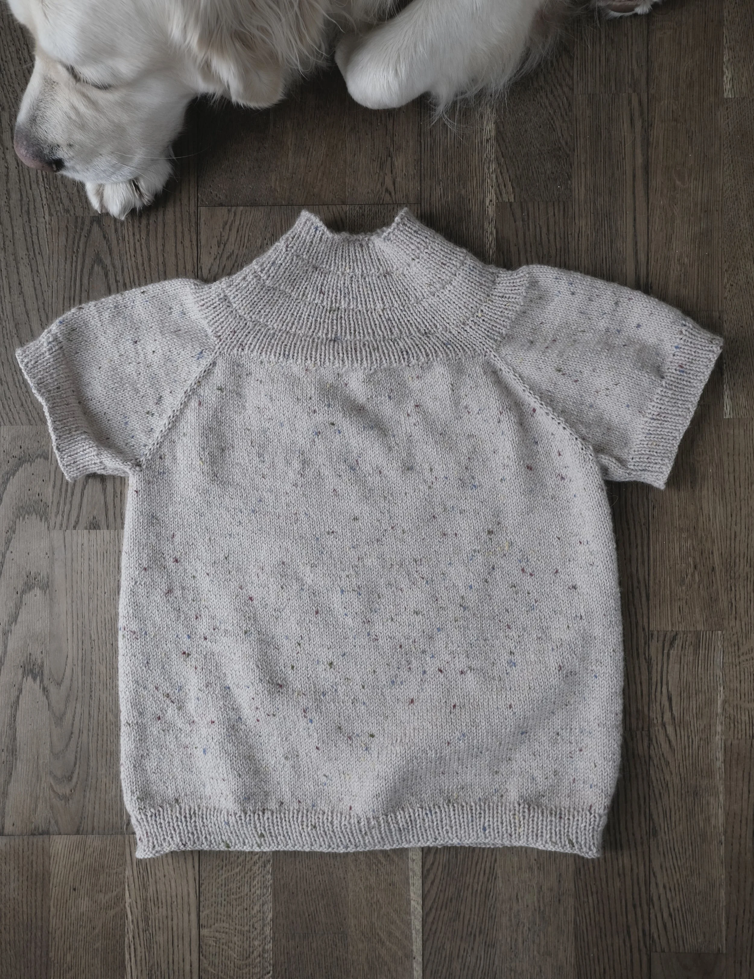 t-shirt.jpg