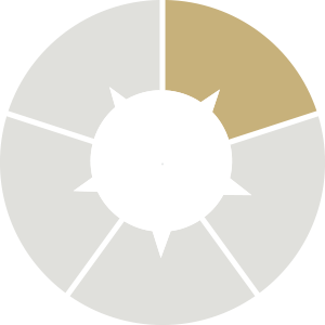 A circular chart divided into five segments with first section coloured gold and the rest in light grey.