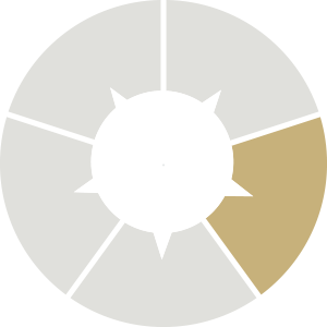 A circular chart divided into five segments with second section coloured gold and the rest in light grey.