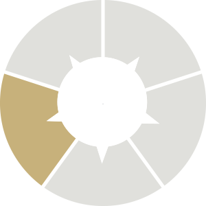 A circular chart divided into five segments with fourth section coloured gold and the rest in light grey.