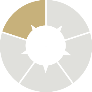 A circular chart divided into five segments with fifth section coloured gold and the rest in light grey.