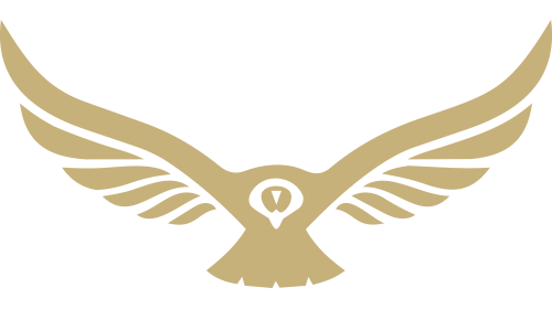 A stylized condor icon shape with outstretched wings