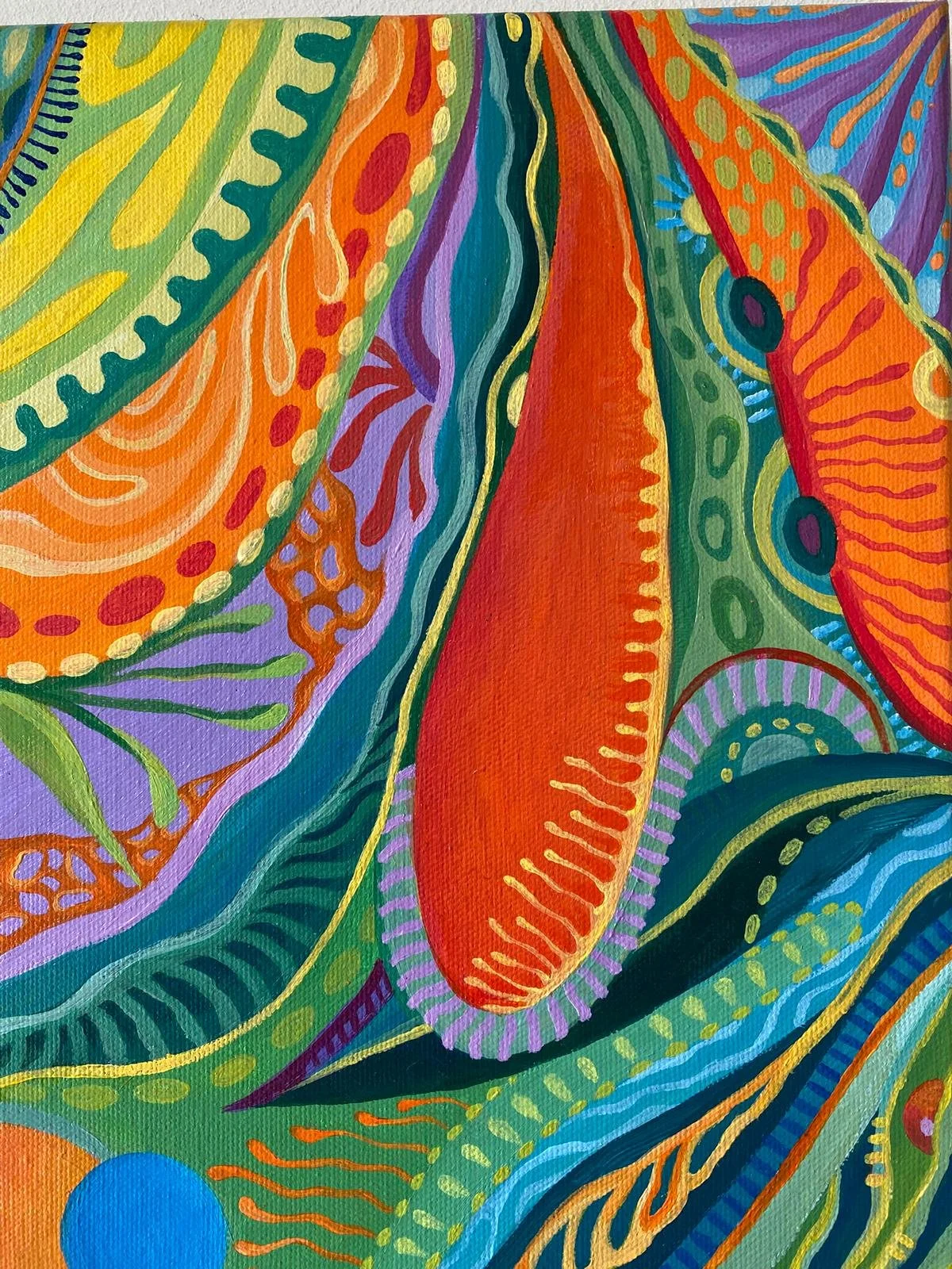 WhatsApp Image 2026-05-10 at 12.11.12 (1).jpeg