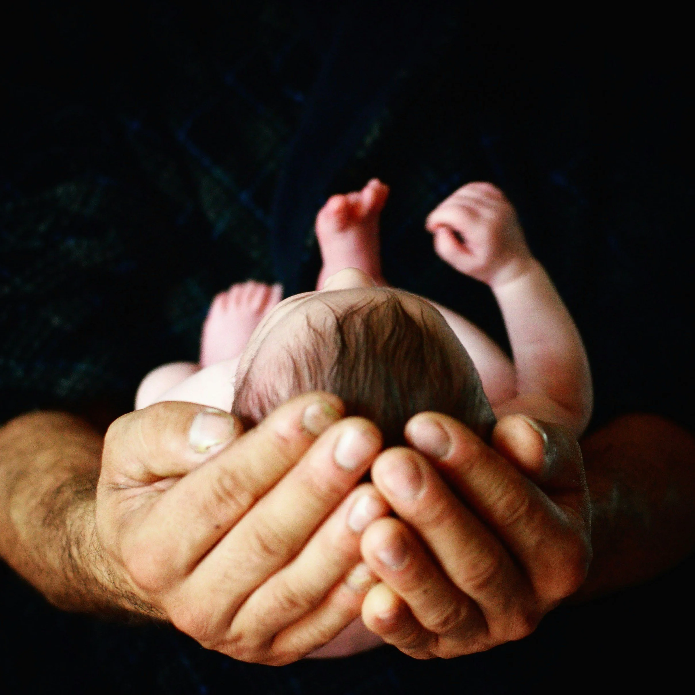 Hands holding a baby's head and small body, viewed from above on a dark background.