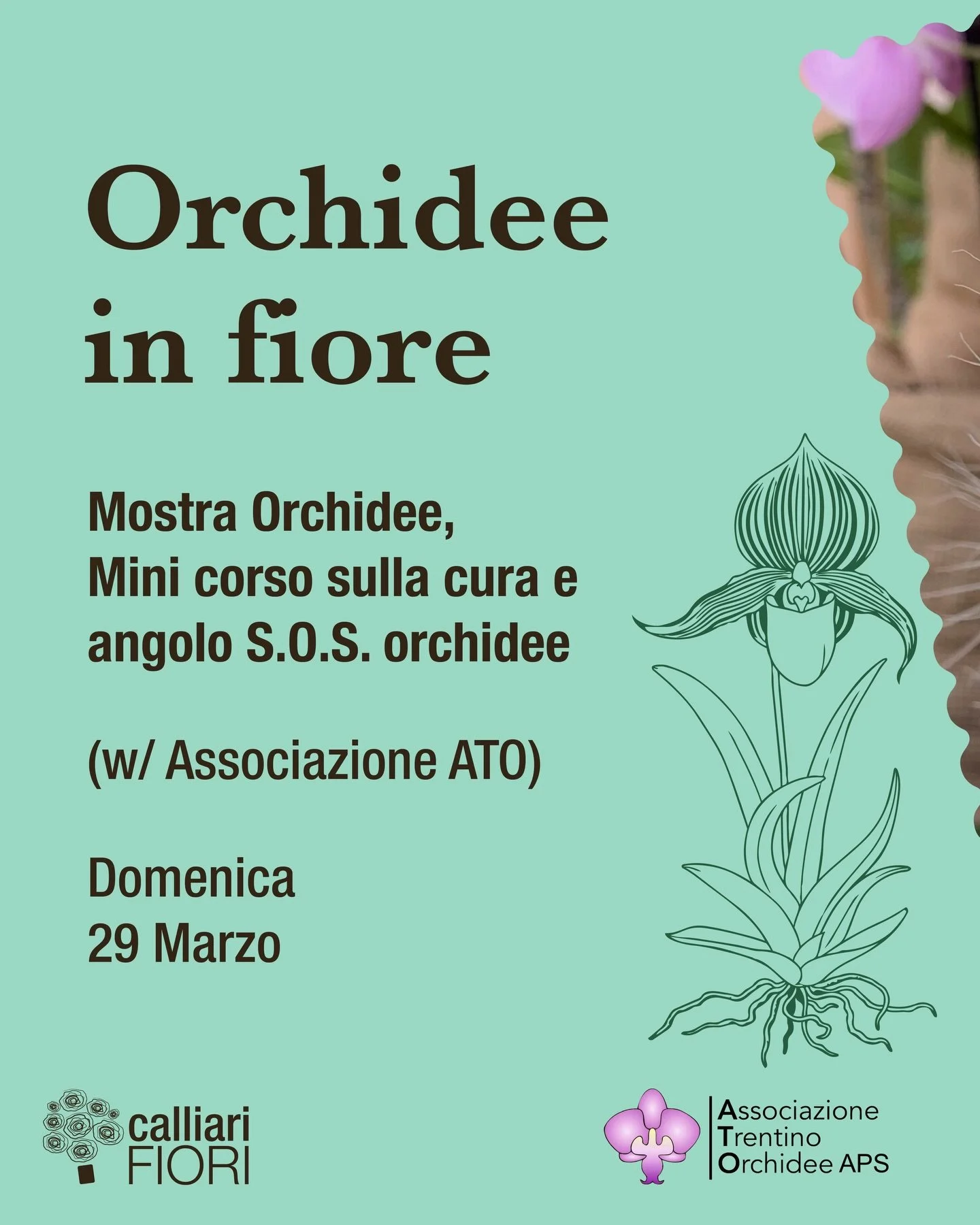 Orchidee in fiore

Una giornata interamente dedicata alle orchidee! Domenica 29 marzo vi aspettiamo tutto il giorno con una mostra di orchidee particolari realizzata assieme a @associazione_trentino_orchidee 
Alle 15:30 un minicorso pratico sulla lor