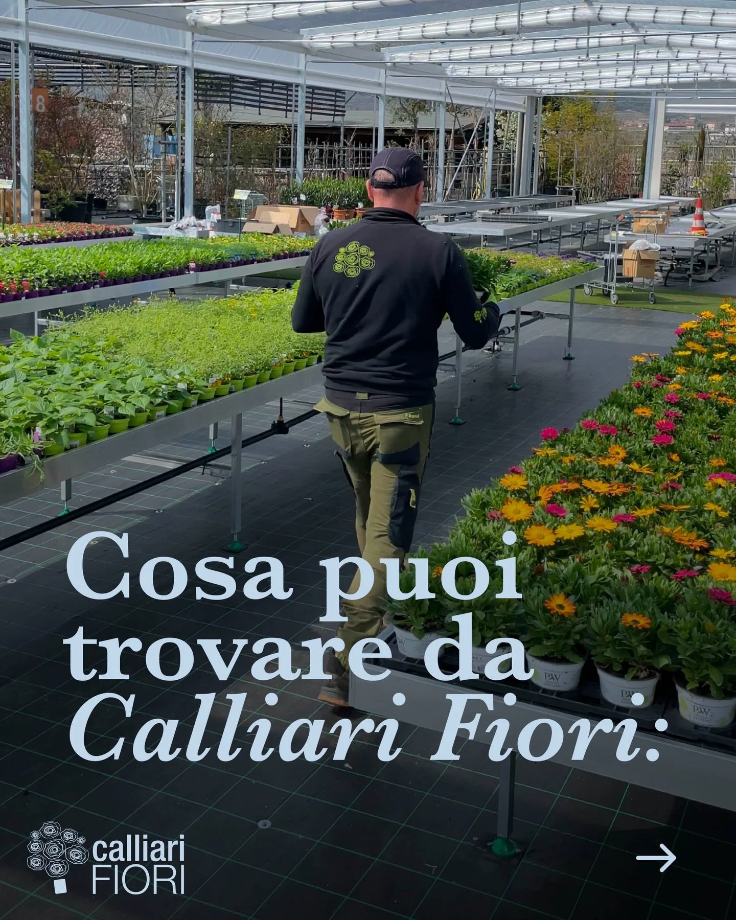 Alcune novit&agrave; in garden 🌸🤩

Dalle nuove @yankeecandleit alle calle colorate, perfette per la Pasqua ✨ 

Vi aspettiamo con molto altro ancora!

#calliarifiori #coltiviamobellezza