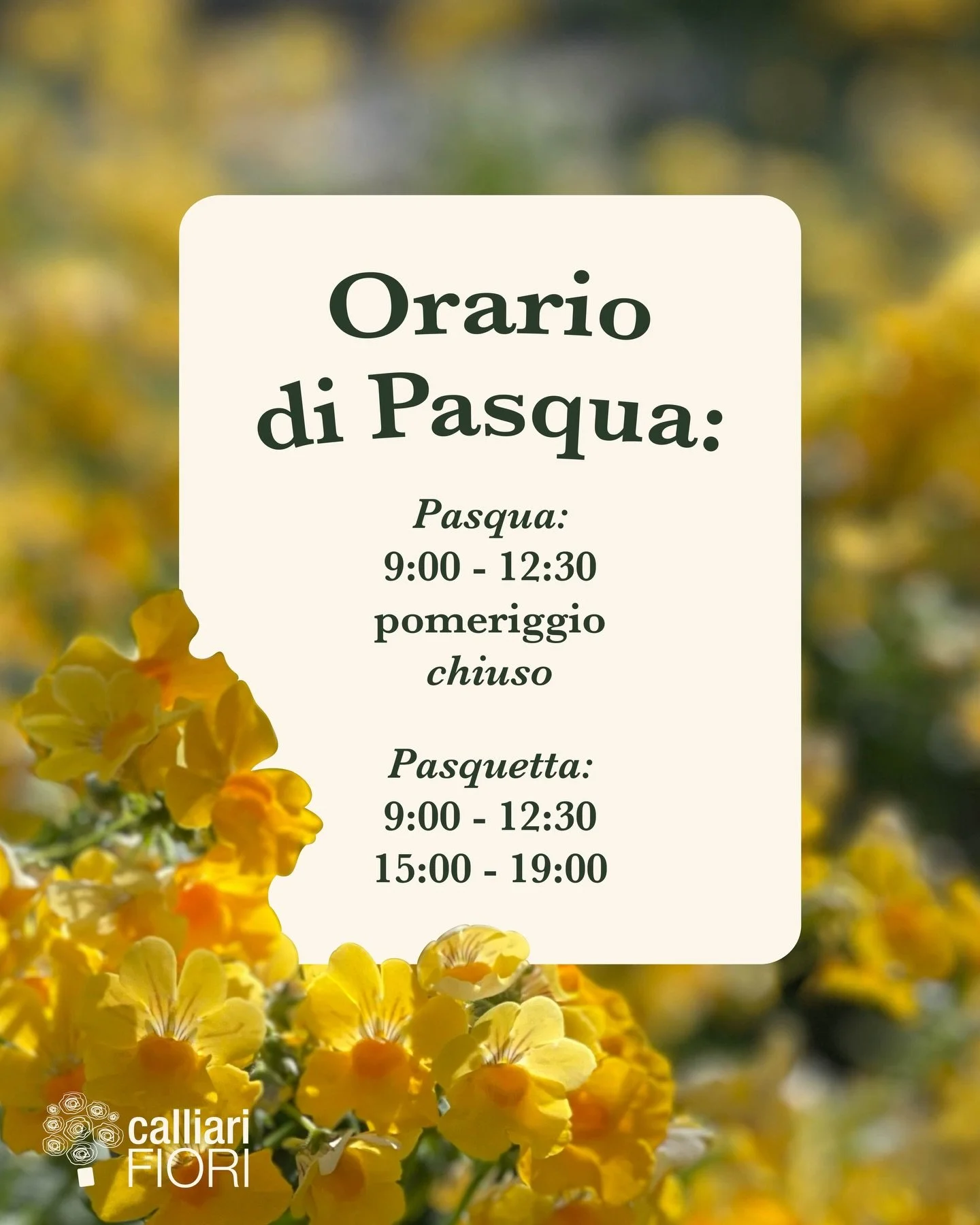 A Pasqua e luned&igrave; di Pasquetta Calliari Fiori sar&agrave; aperto con i seguenti orari:

Pasqua: aperto solo la mattina dalle 9 alle 12:30

Pasquetta: 9:00-12:30 e 15:00-19:00

#calliarifiori #coltiviamobellezza