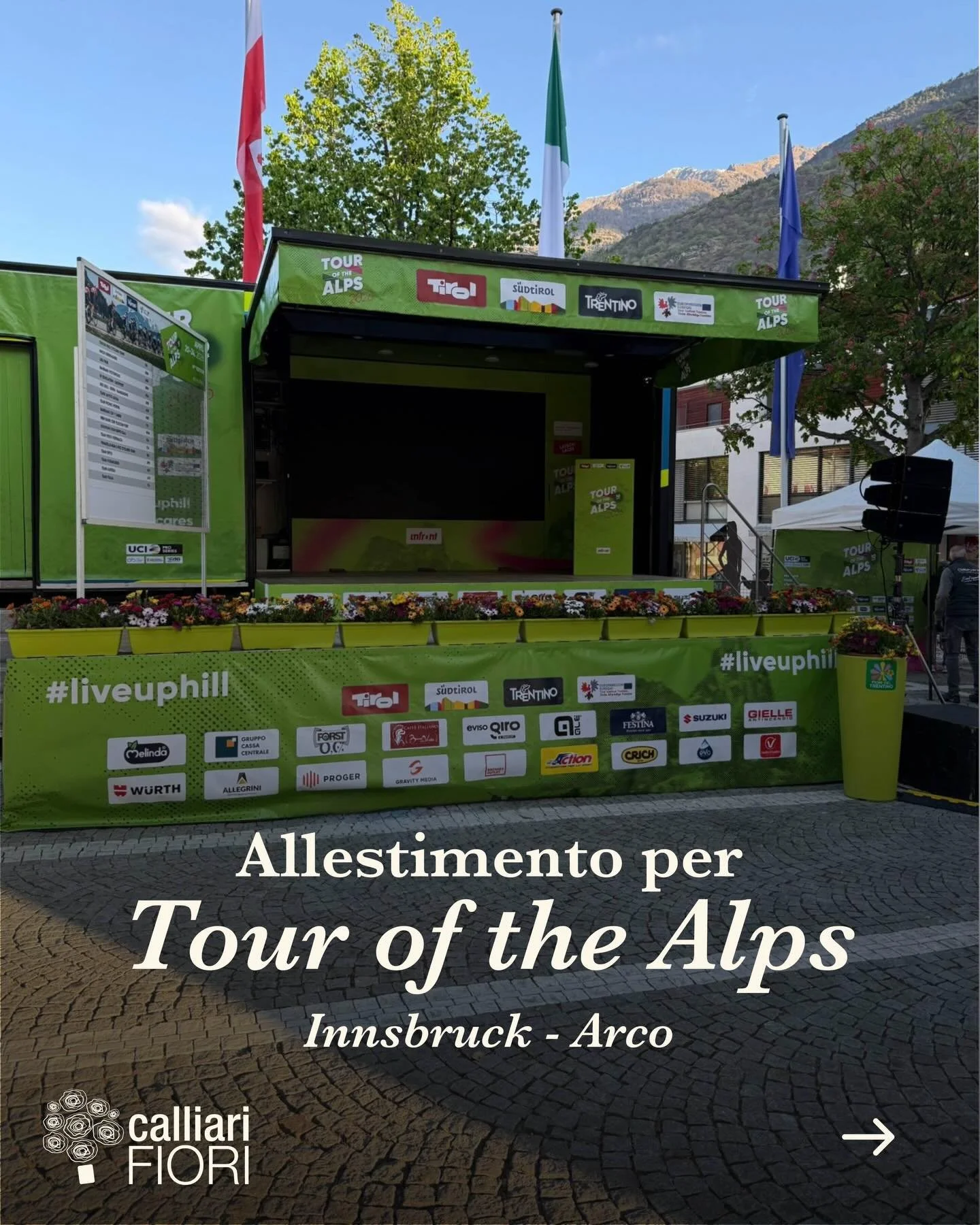 I nostri allestimenti per @tourof_thealps dalla partenza all&rsquo;arrivo! Con la pianta euregina di quest&rsquo;anno 😉 @fiorideltrentino 

#calliarifiori #coltiviamobellezza #tourofthealps