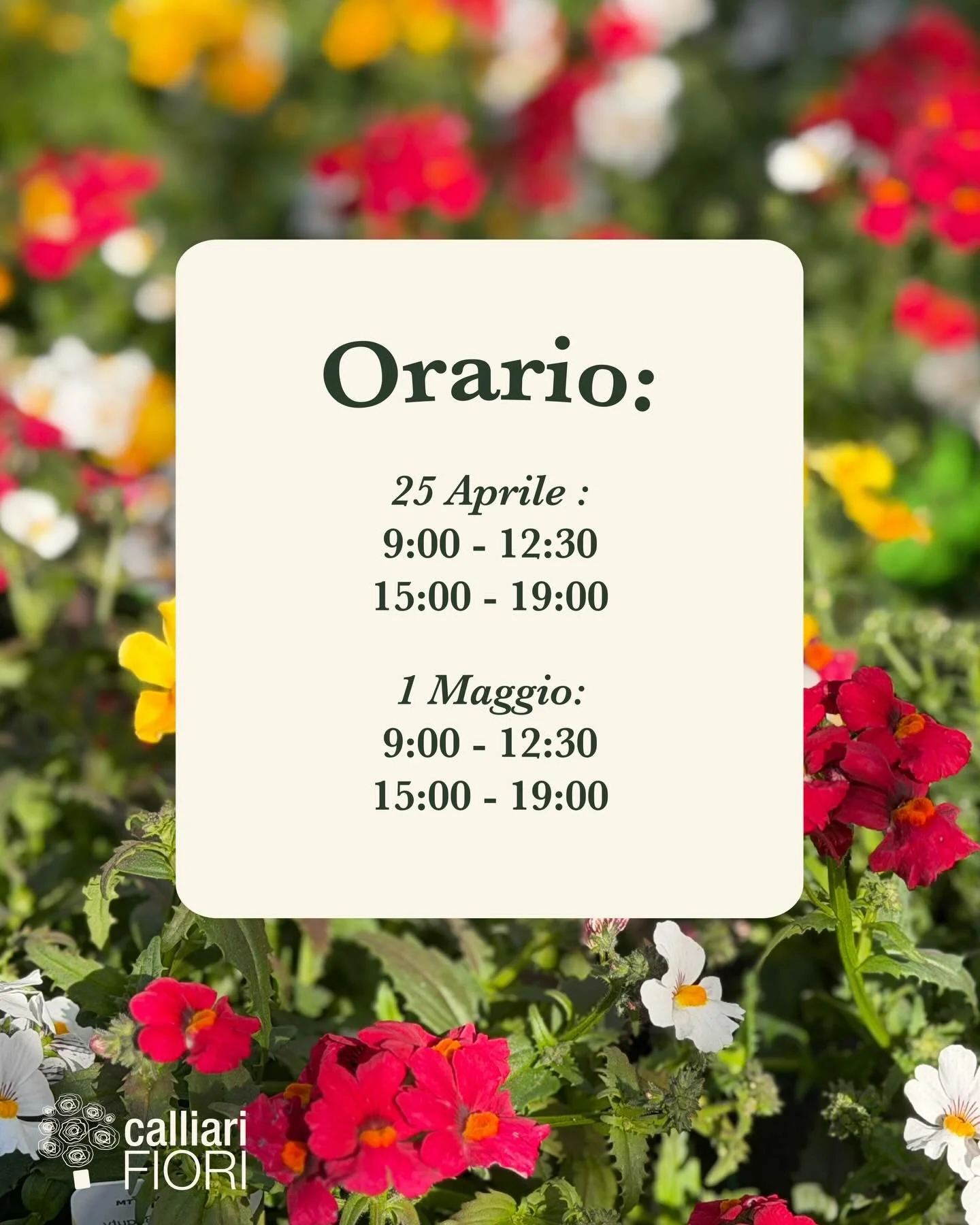 I nostri orari per questi giorni di festa 🤗
25 aprile aperti dalle 9 alle 12:30 e dalle 15 alle 19.
1 maggio aperti dalle 9 alle 12:30 e dalle 15 alle 19.

Vi aspettiamo in garden!

#calliarifiori #coltiviamobellezza