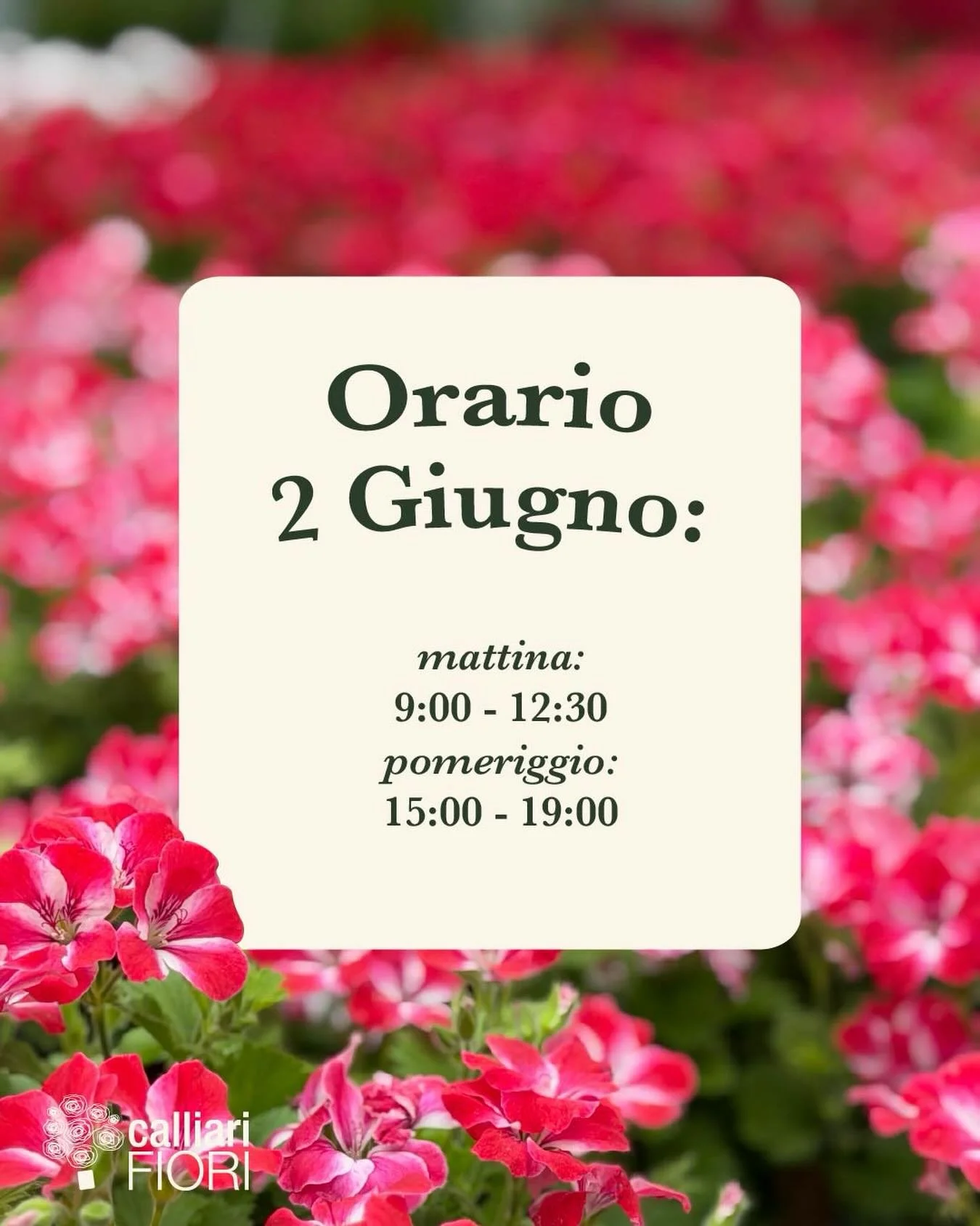 Domani, Festa della Repubblica, saremo aperti con i seguenti orari: 
9:00 - 12:30 
15:00 - 19:00 

Vi aspettiamo! 

#coltiviamobellezza #calliarifiori