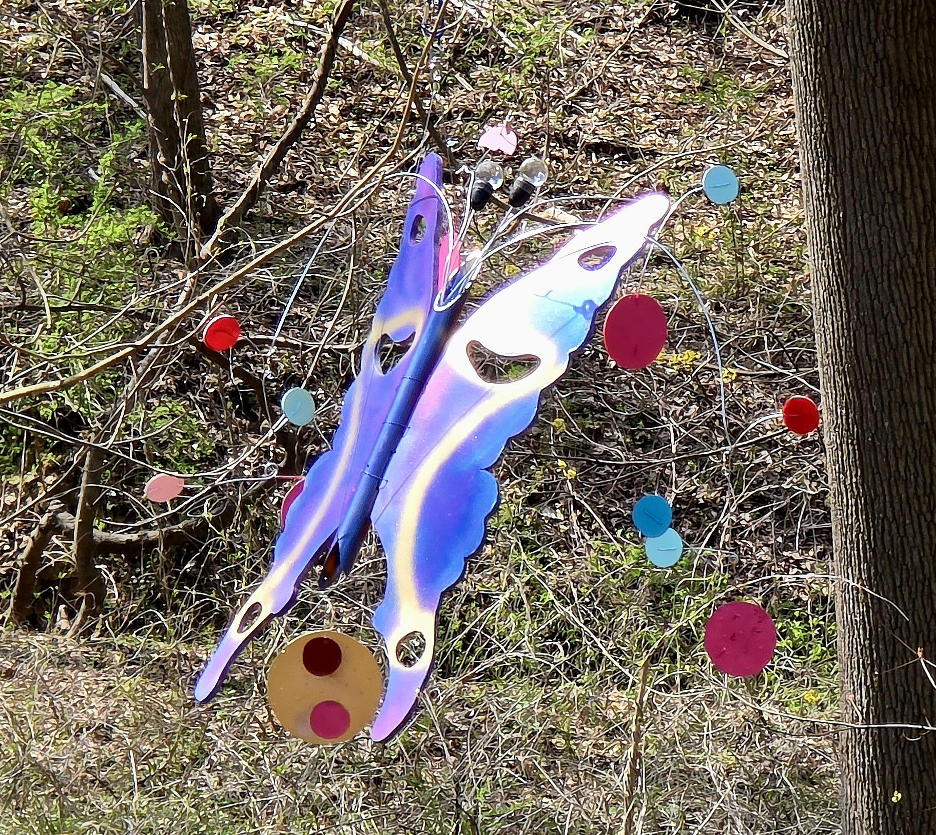 20240409_143417.jpg