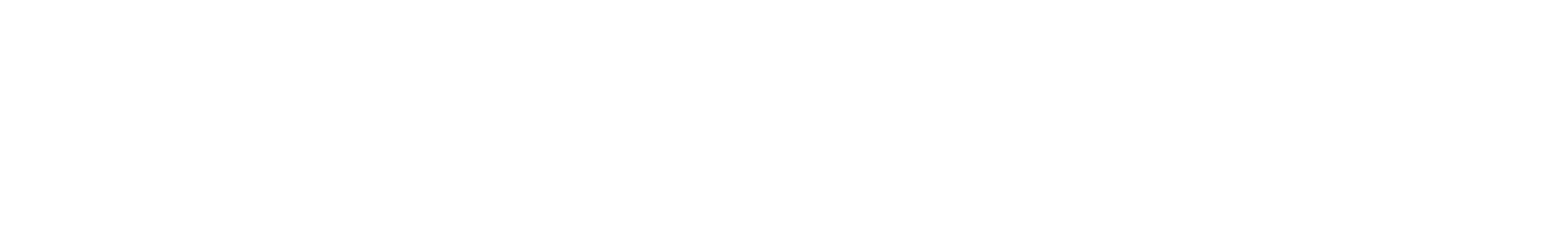 Davide Nicelli Jr